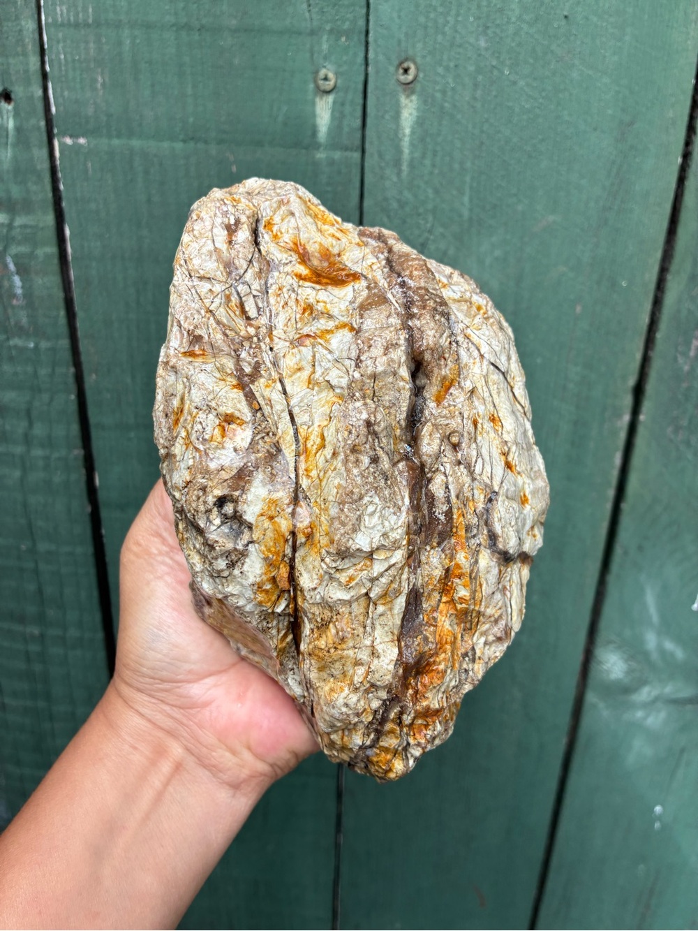 3.7 Lbs Colorful Petrified Wood 
Has agatized striations